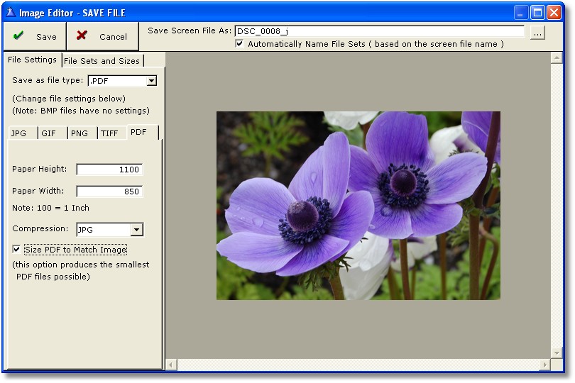 EditorSave